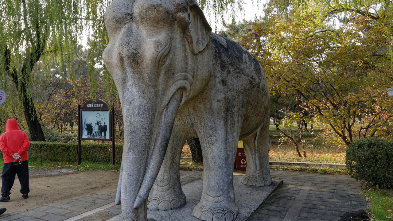 20161103 141238•Sacred Way•Changping District•Beijing•China